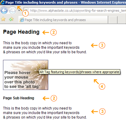 Example page showing 'Page Title', 'Page Heading', 'Body Copy' and 'Alt Tag' elements